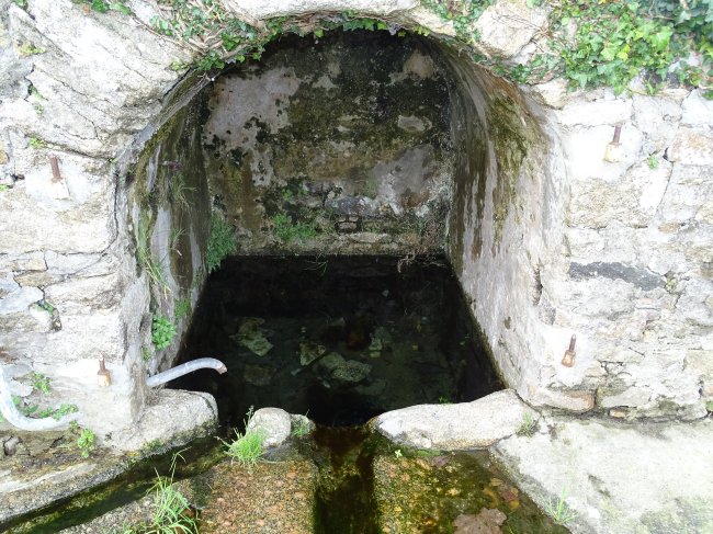 Niche of the second source